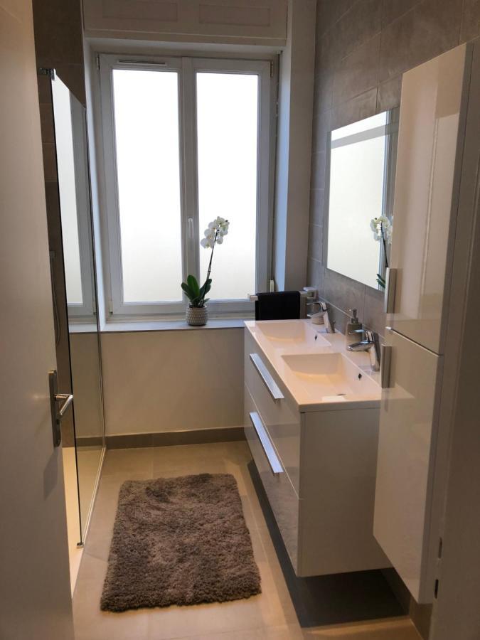 Appartement De Prestige Au Centre Climatise Avec Jardin Prive Колмар Екстериор снимка
