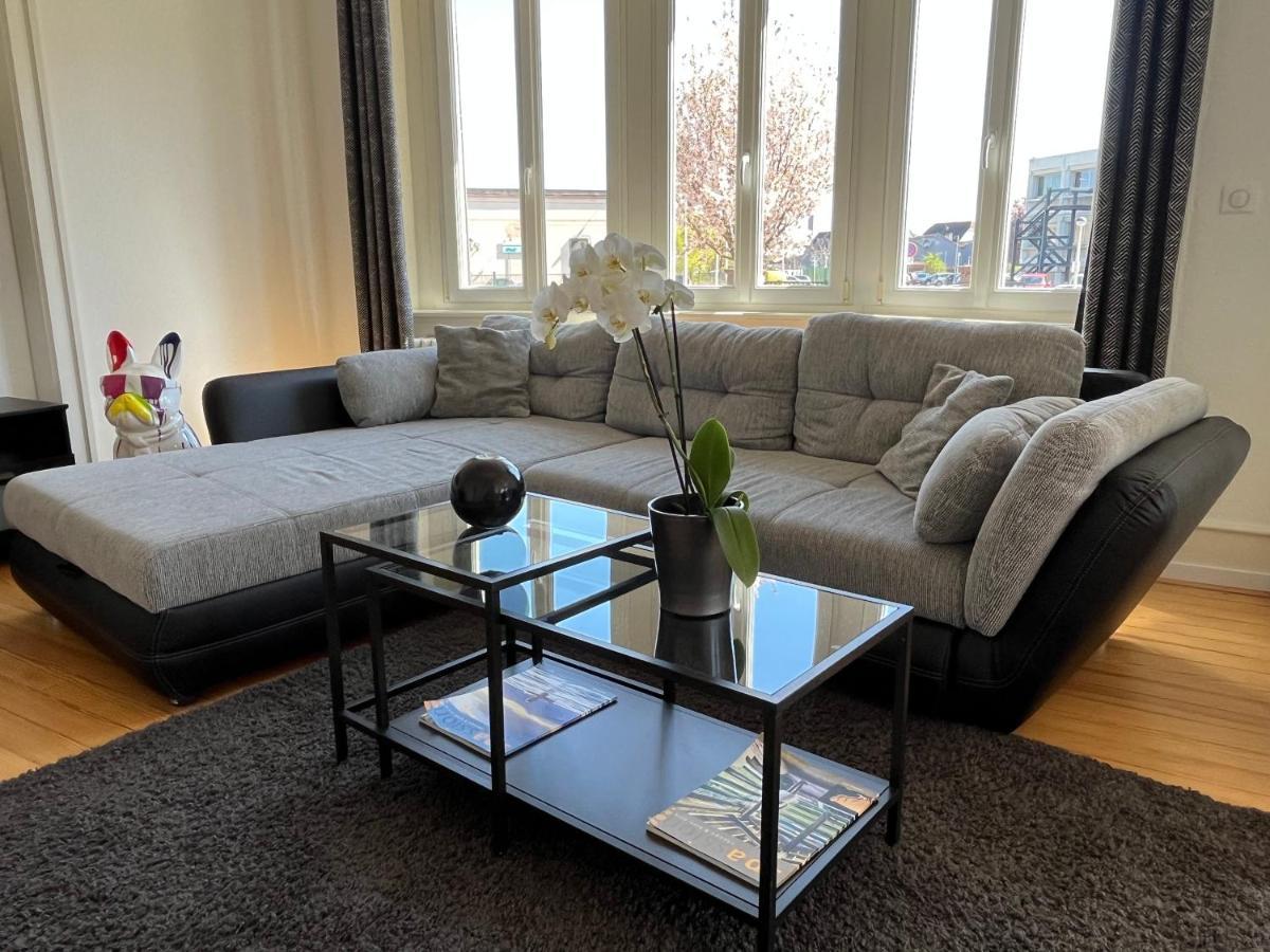 Appartement De Prestige Au Centre Climatise Avec Jardin Prive Колмар Екстериор снимка