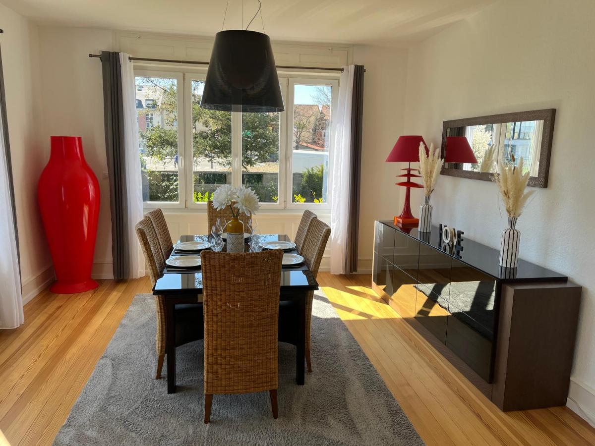 Appartement De Prestige Au Centre Climatise Avec Jardin Prive Колмар Екстериор снимка