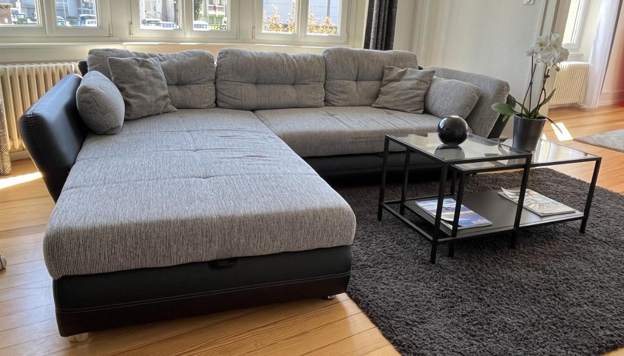 Appartement De Prestige Au Centre Climatise Avec Jardin Prive Колмар Екстериор снимка