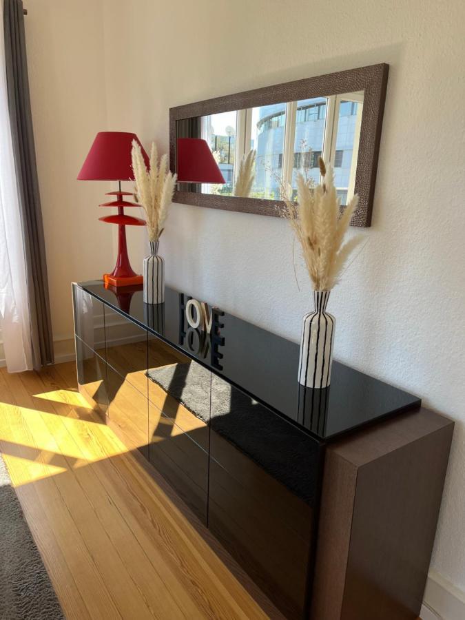 Appartement De Prestige Au Centre Climatise Avec Jardin Prive Колмар Екстериор снимка