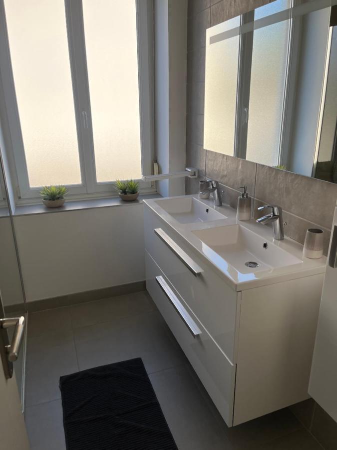 Appartement De Prestige Au Centre Climatise Avec Jardin Prive Колмар Екстериор снимка