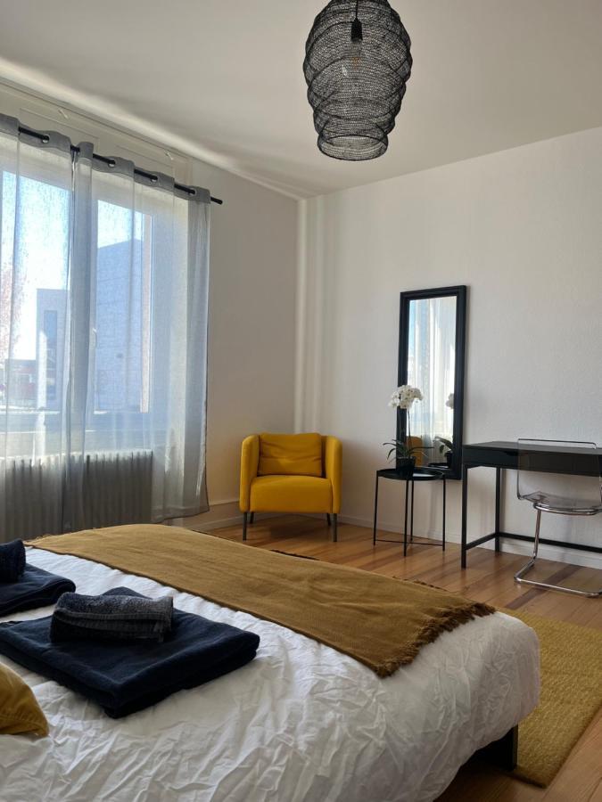Appartement De Prestige Au Centre Climatise Avec Jardin Prive Колмар Екстериор снимка