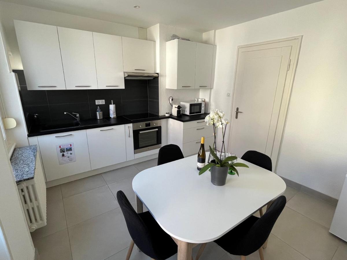 Appartement De Prestige Au Centre Climatise Avec Jardin Prive Колмар Екстериор снимка