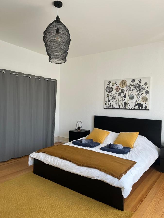 Appartement De Prestige Au Centre Climatise Avec Jardin Prive Колмар Екстериор снимка