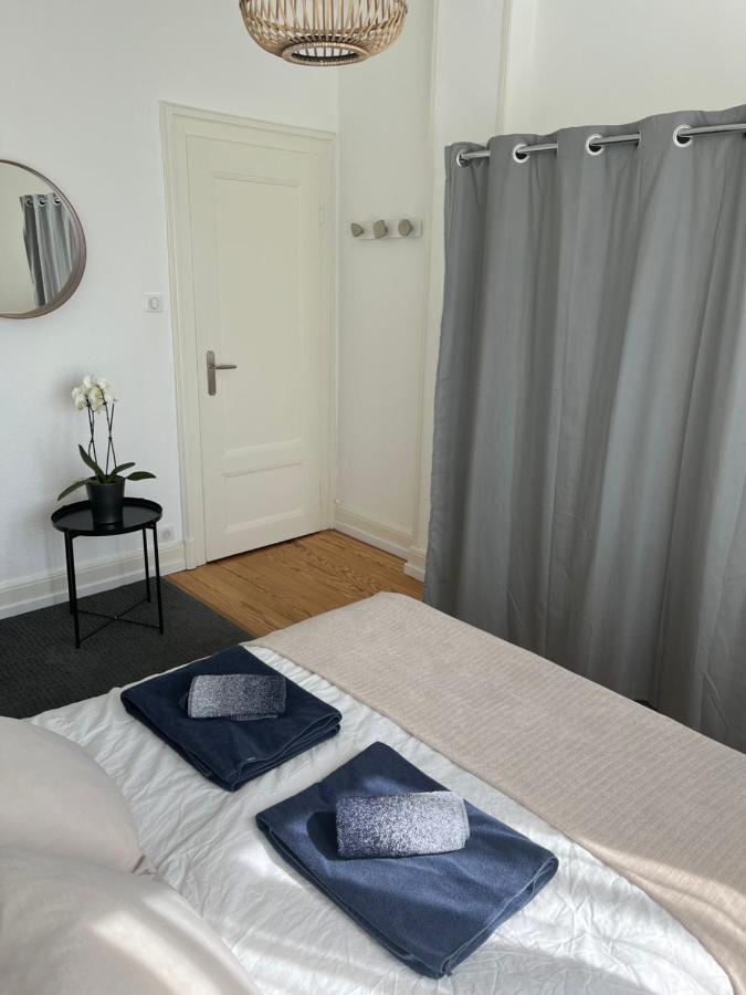 Appartement De Prestige Au Centre Climatise Avec Jardin Prive Колмар Екстериор снимка