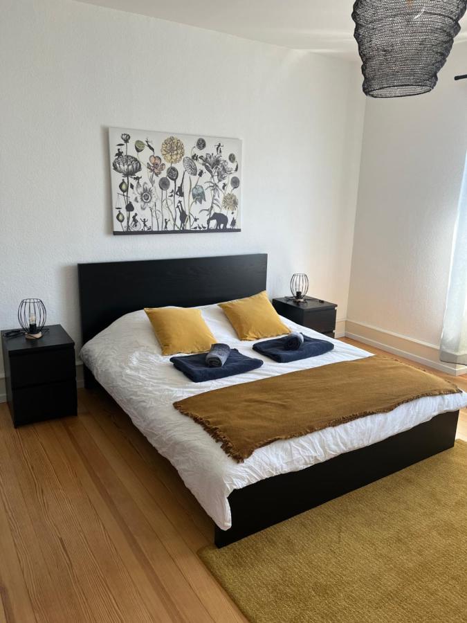 Appartement De Prestige Au Centre Climatise Avec Jardin Prive Колмар Екстериор снимка