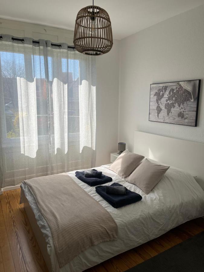 Appartement De Prestige Au Centre Climatise Avec Jardin Prive Колмар Екстериор снимка