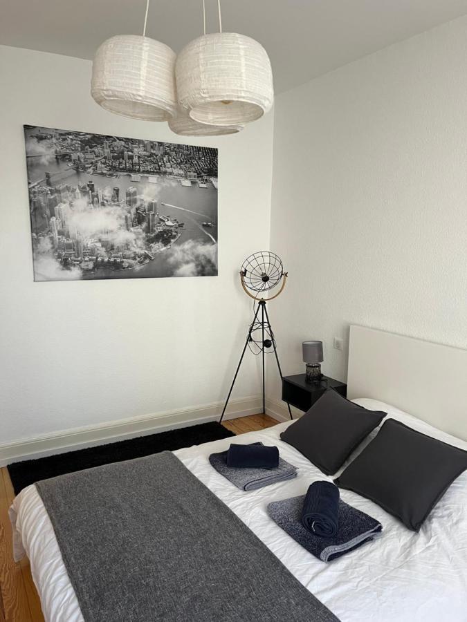 Appartement De Prestige Au Centre Climatise Avec Jardin Prive Колмар Екстериор снимка